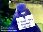 Фотография Asm0deus