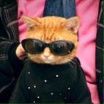 Фотография lizun