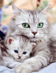 Фотография ewifergvehaq